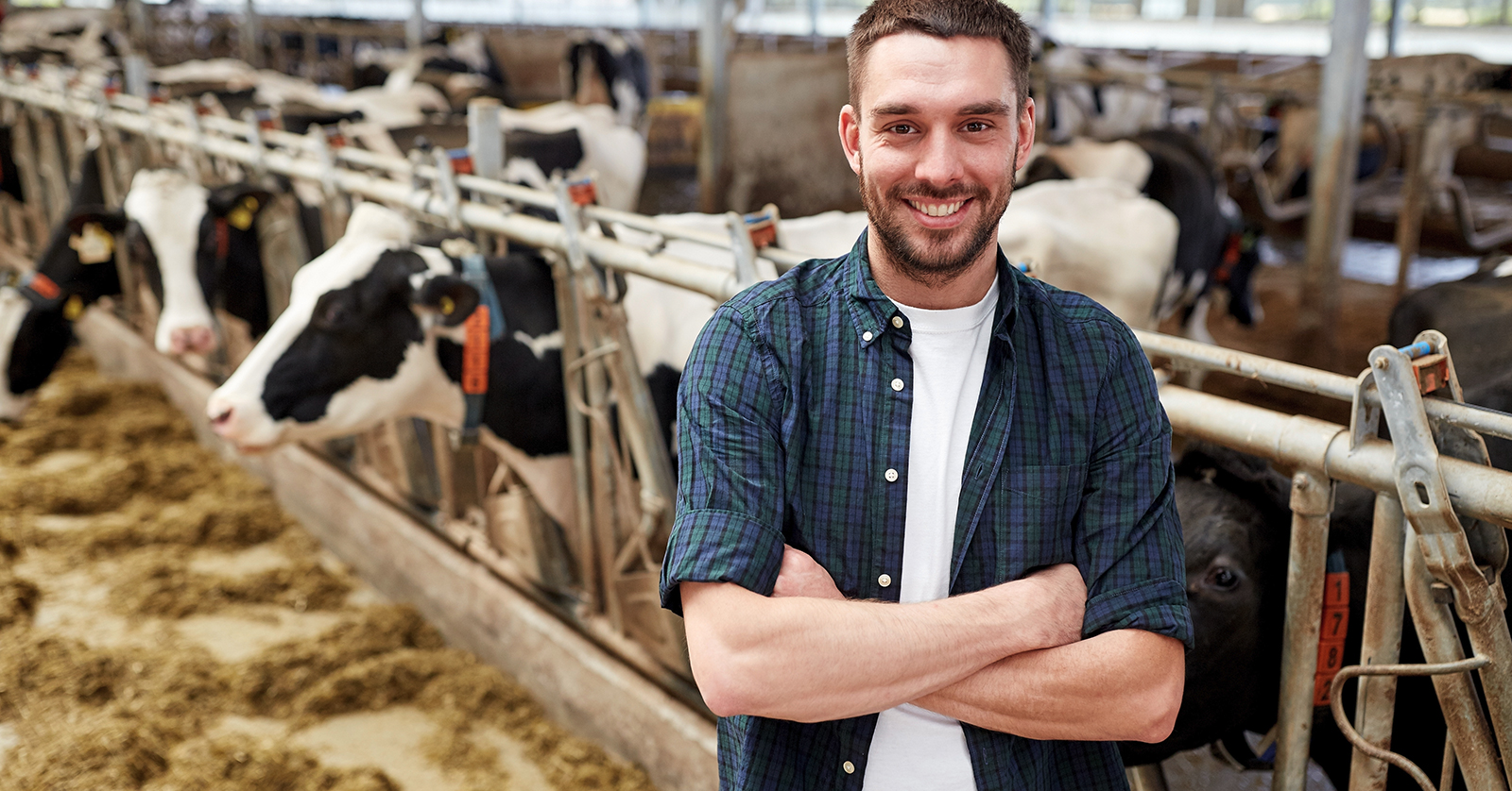 Bury St Edmunds Farmers Club