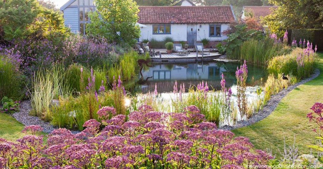 Fancy a dip? We look at why people are choosing swimming ponds over the traditional garden pool