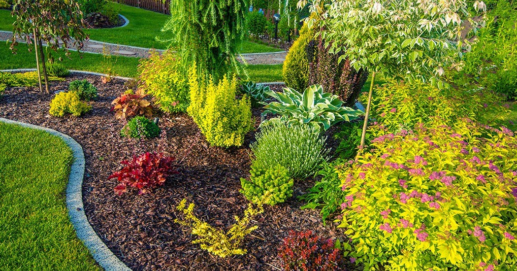 Shape up – How to improve your garden!