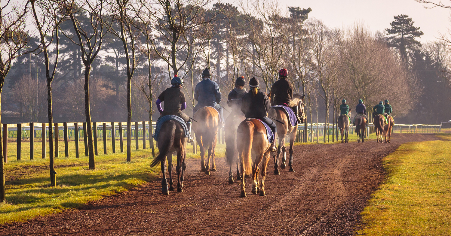 The National Stud Tour Newmarket David Burr