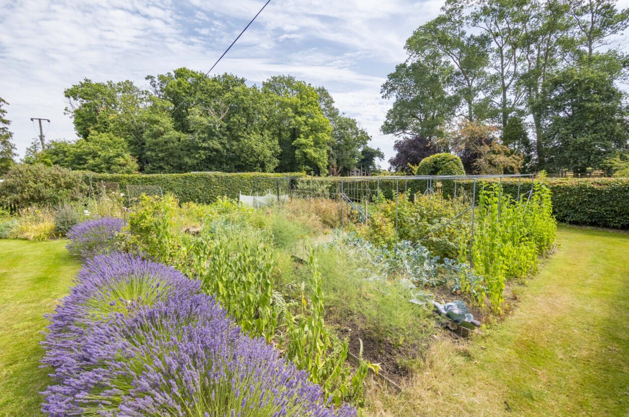 Cooks Hill, Boxted, Colchester