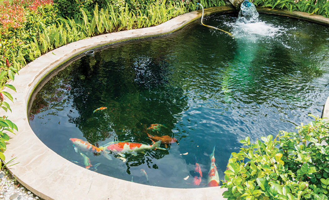 Home and Garden Aquatics