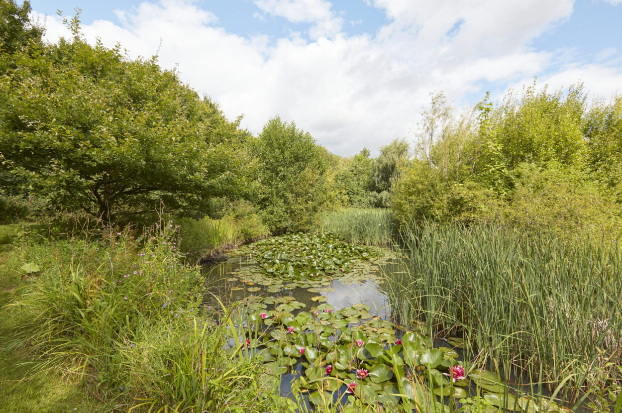 Cowlinge, Suffolk