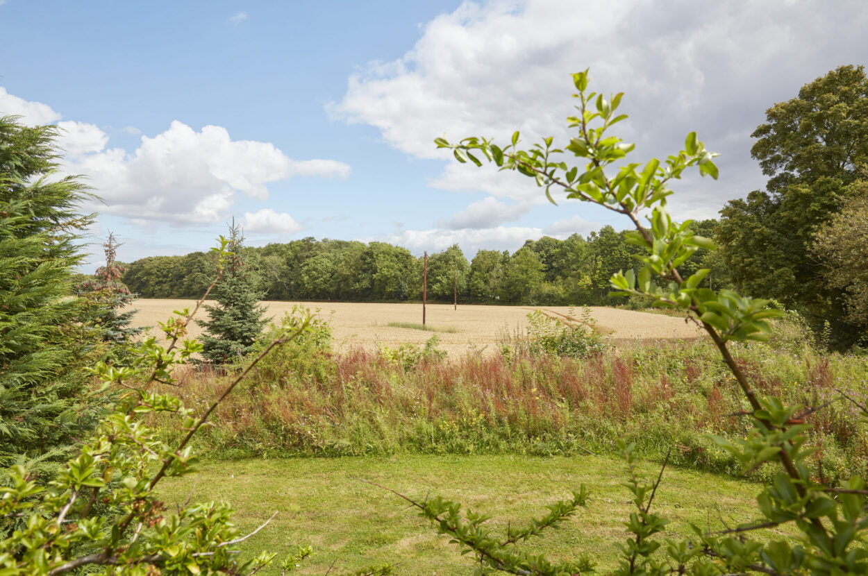 Cowlinge, Suffolk
