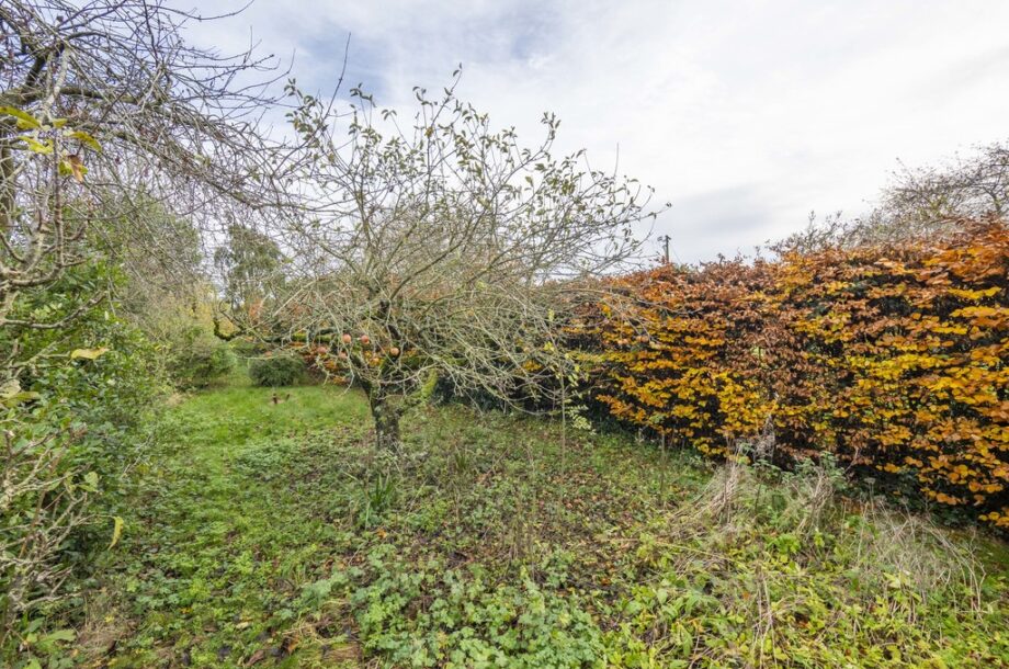 Stoke by Nayland, Colchester, Suffolk