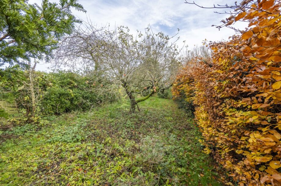 Stoke by Nayland, Colchester, Suffolk