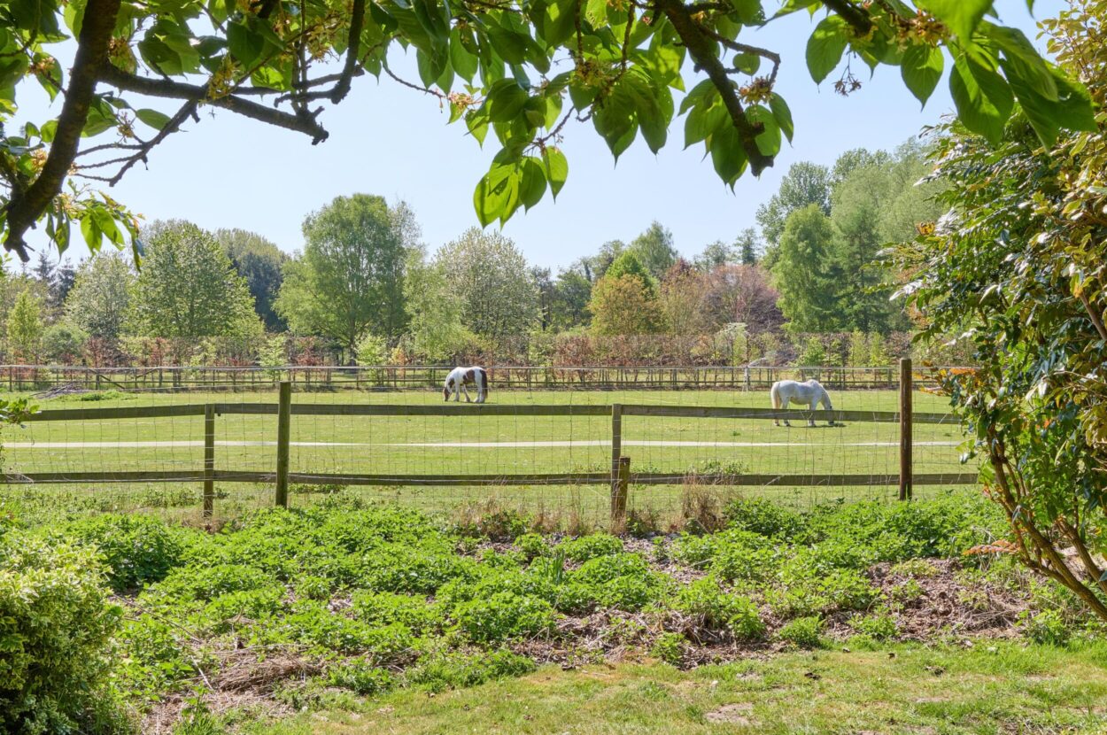 Tuddenham, Suffolk