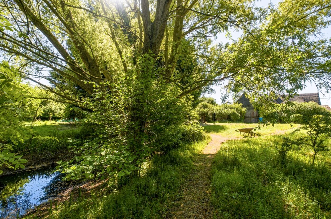 Parkers Road, Cotton