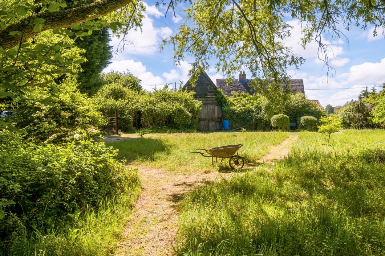 Parkers Road, Cotton