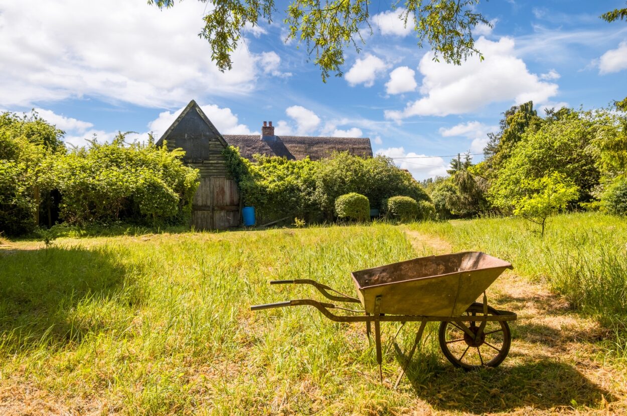 Parkers Road, Cotton