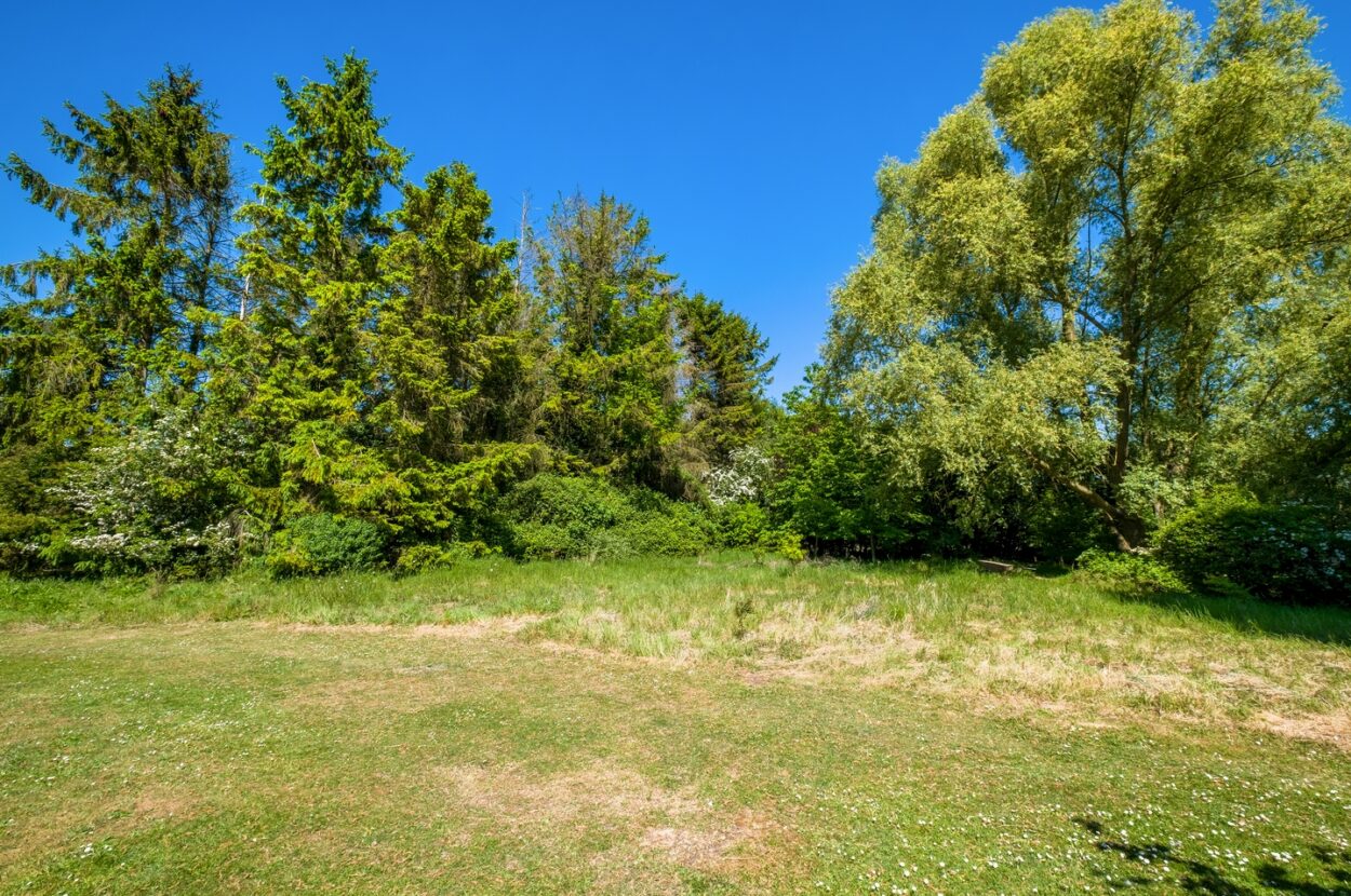 Parkers Road, Cotton