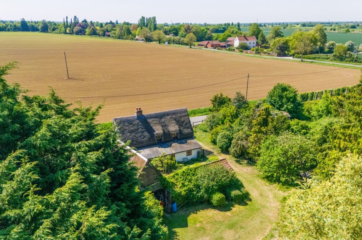 Parkers Road, Cotton