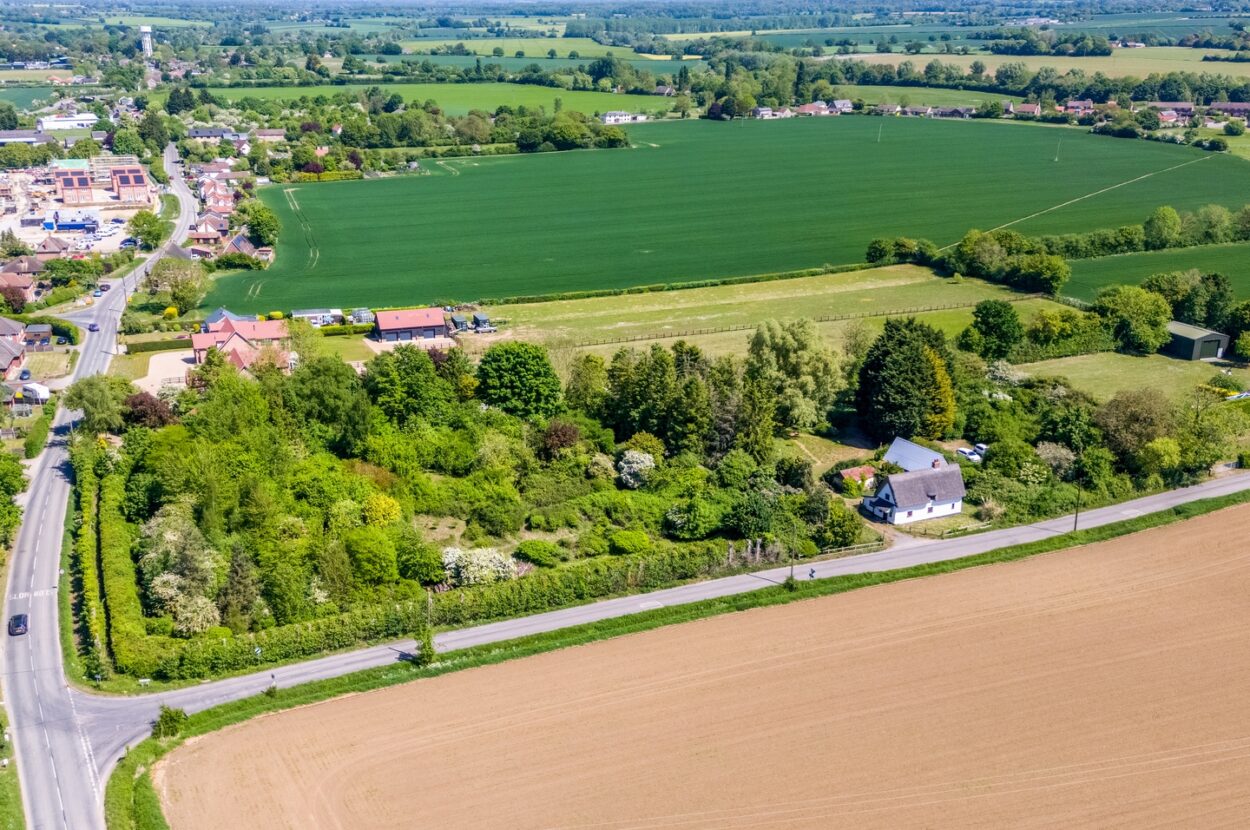 Parkers Road, Cotton