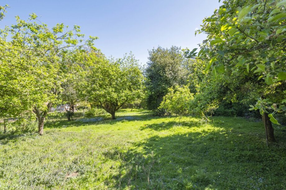 Nayland, Colchester, Suffolk