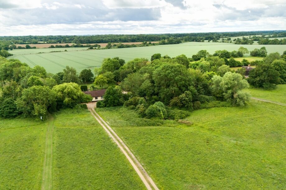 The Common, Mellis