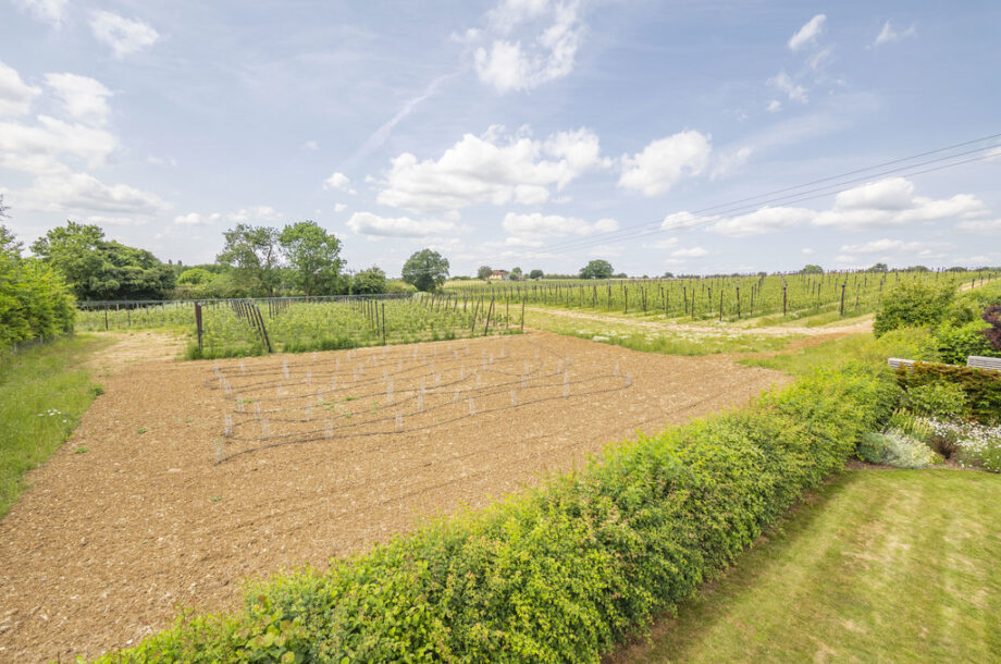 Boxford, Sudbury, Suffolk