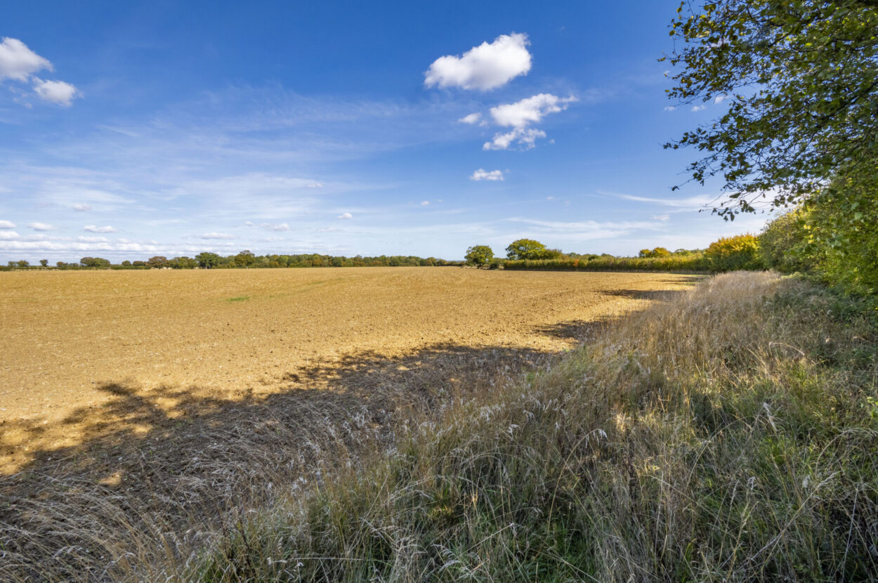 Boxted, Bury St Edmunds, Suffolk