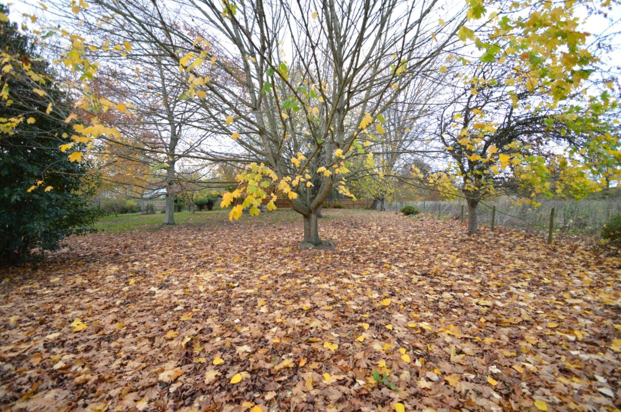 Sloe Hill, Halstead, Essex