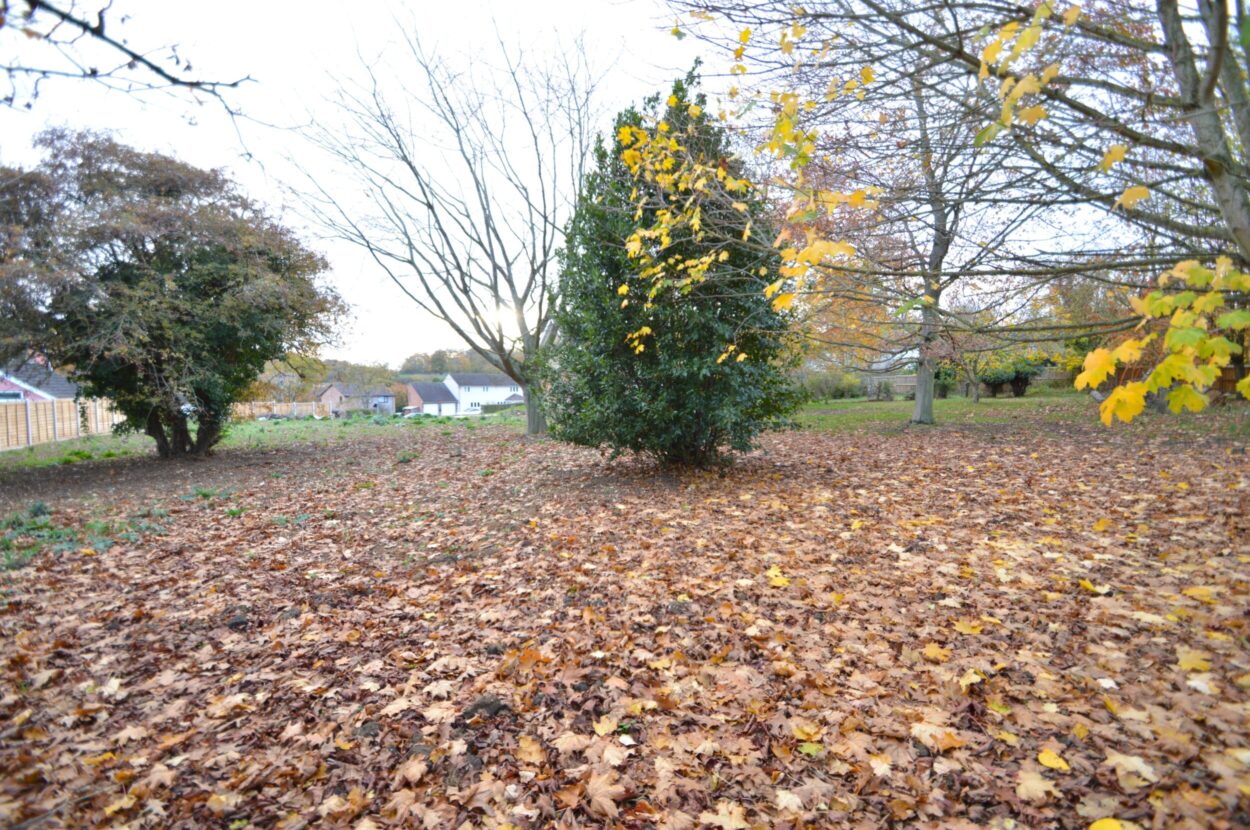 Sloe Hill, Halstead, Essex