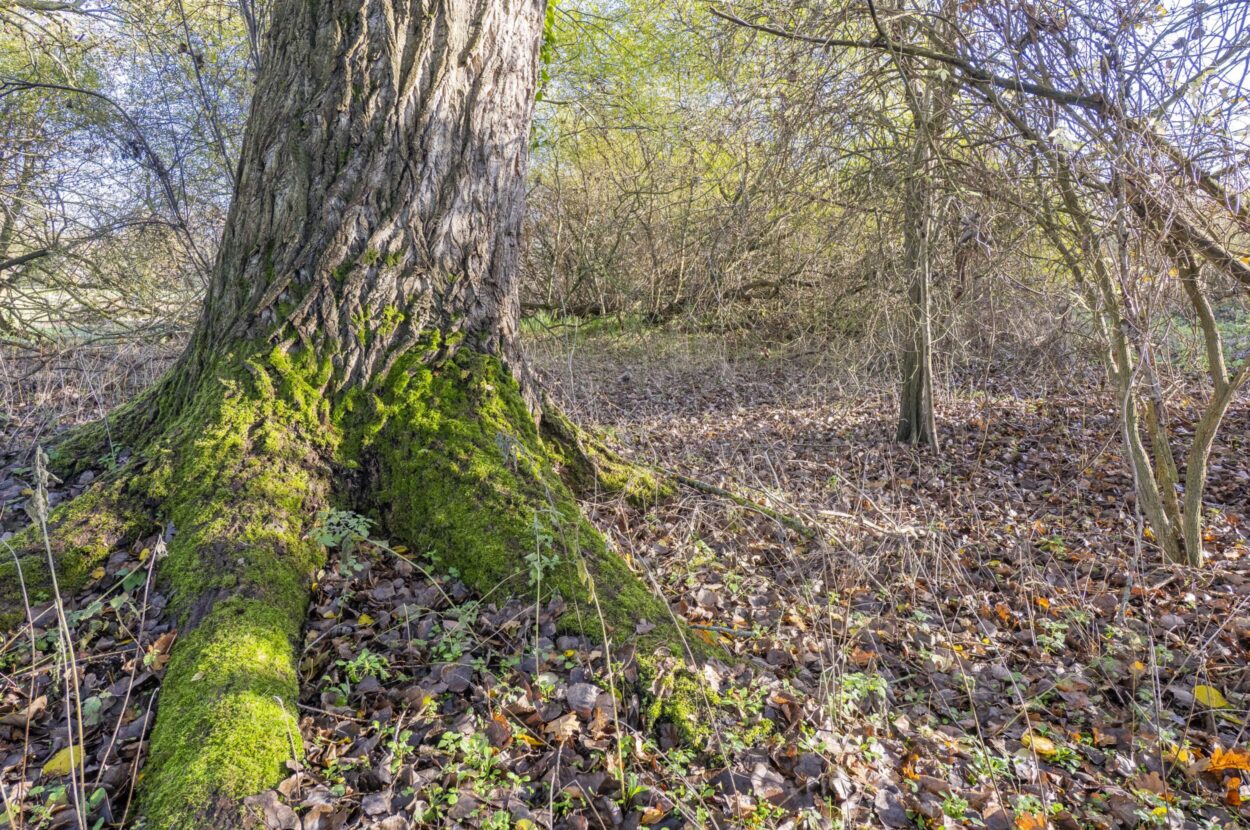 Monks Eleigh, Ipswich, Suffolk