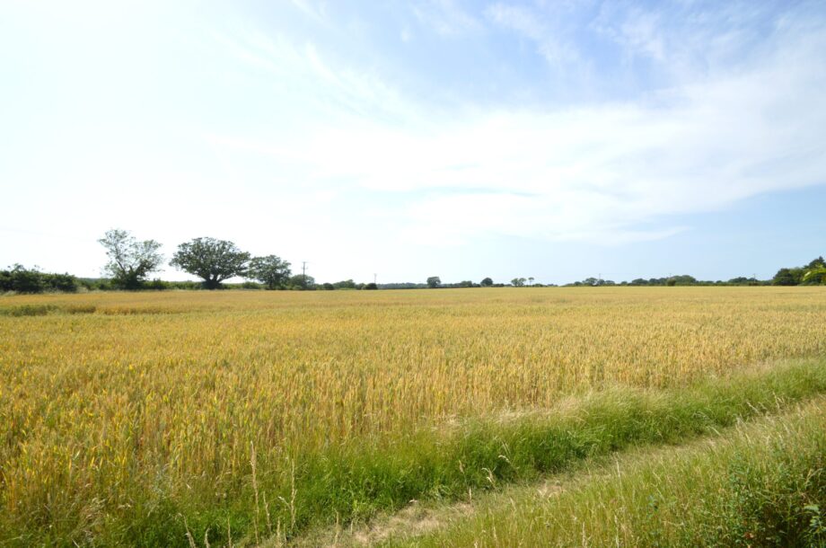 Greenstead Green, Halstead, Essex