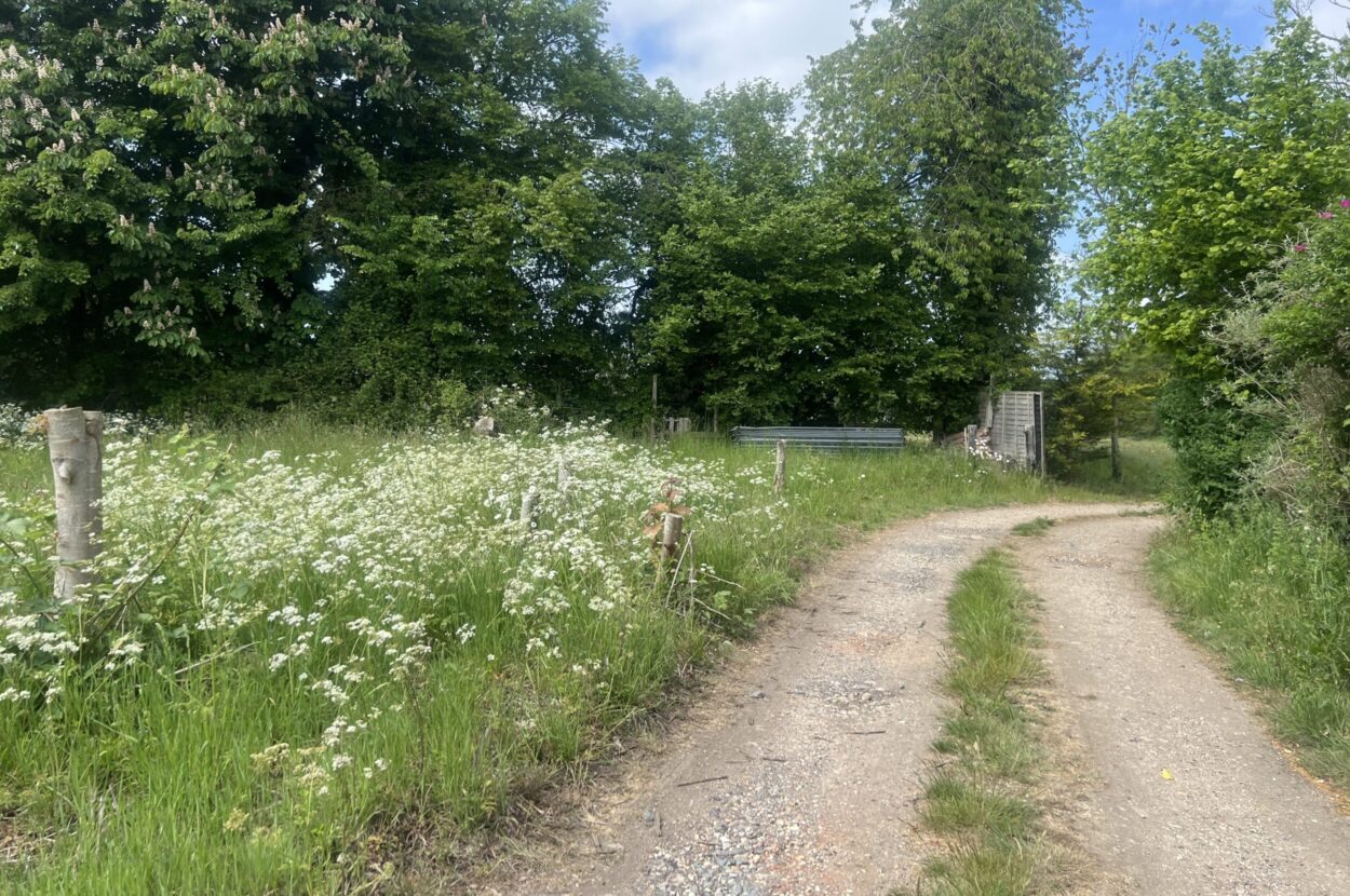 Stoke Road, Thorndon