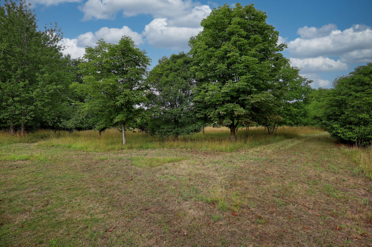Earls Colne, Colchester, Essex