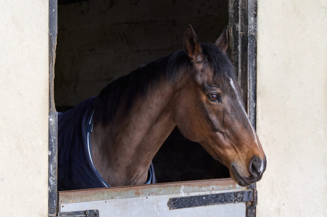 Kirtling, Newmarket, Suffolk