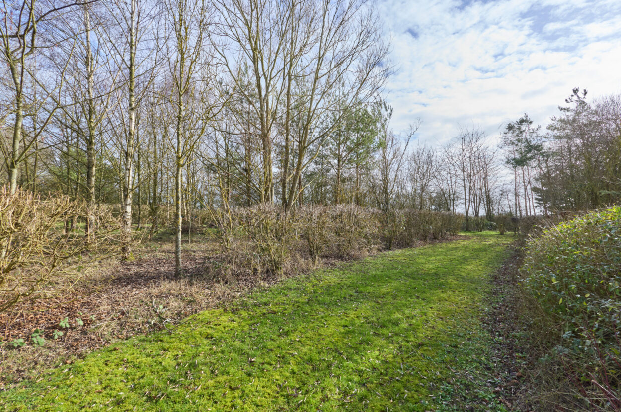 Wickhambrook, Newmarket, Suffolk