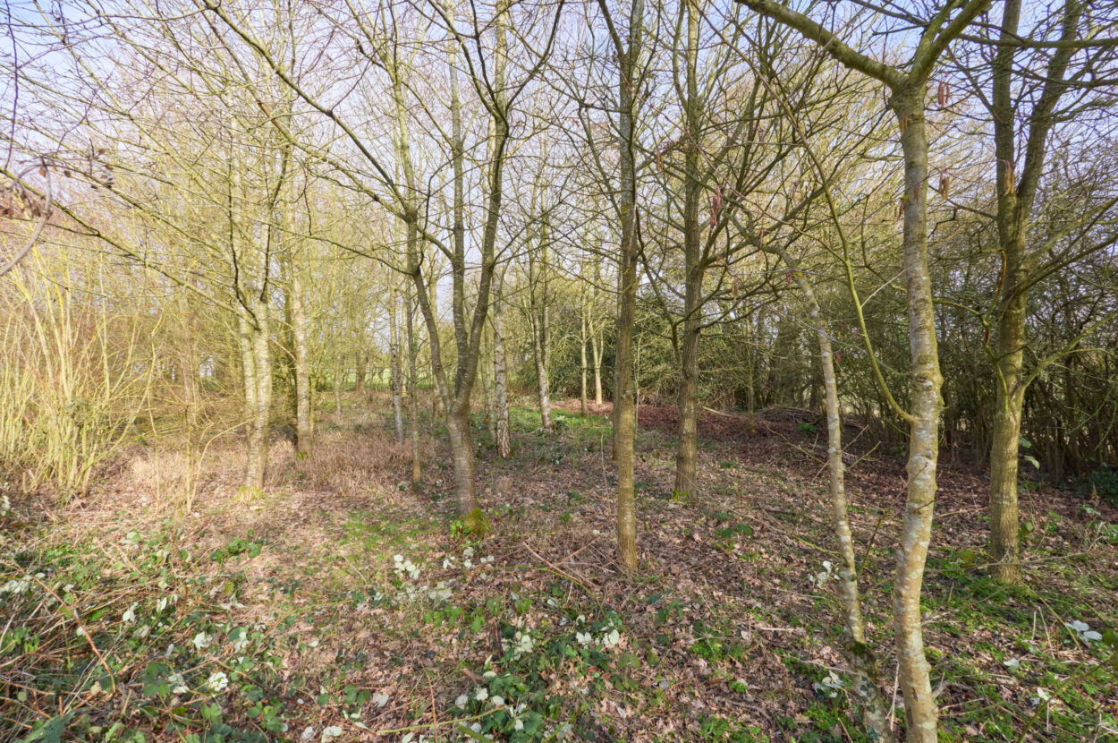 Wickhambrook, Newmarket, Suffolk