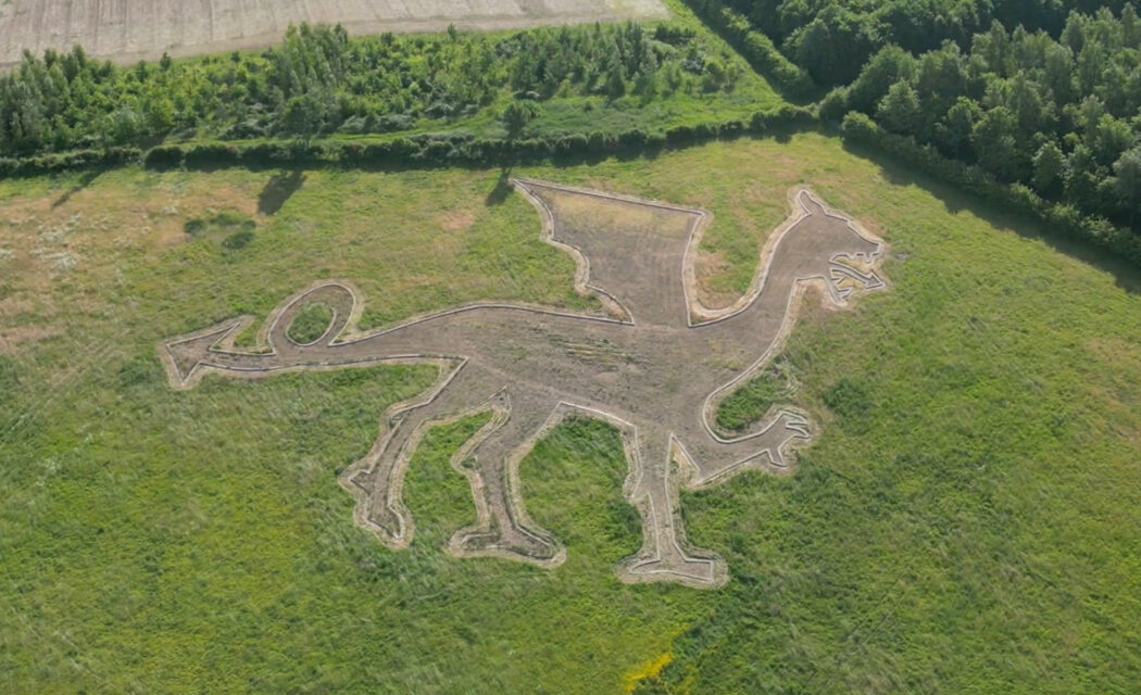 What is the Bures Dragon?