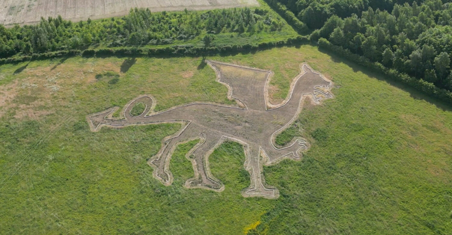 What is the Bures Dragon?