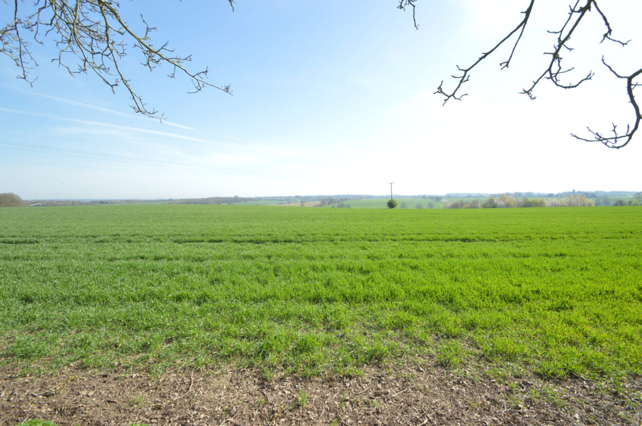 Gestingthorpe, Halstead, Essex