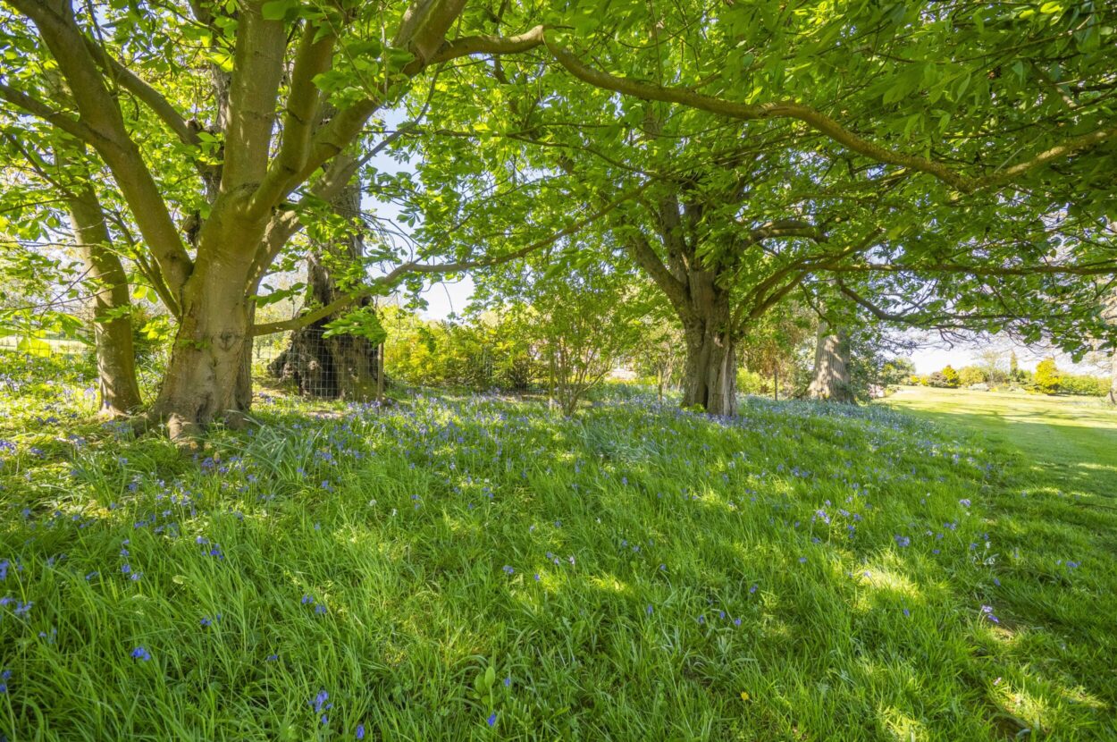 Lamarsh, Bures, Essex/Suffolk border