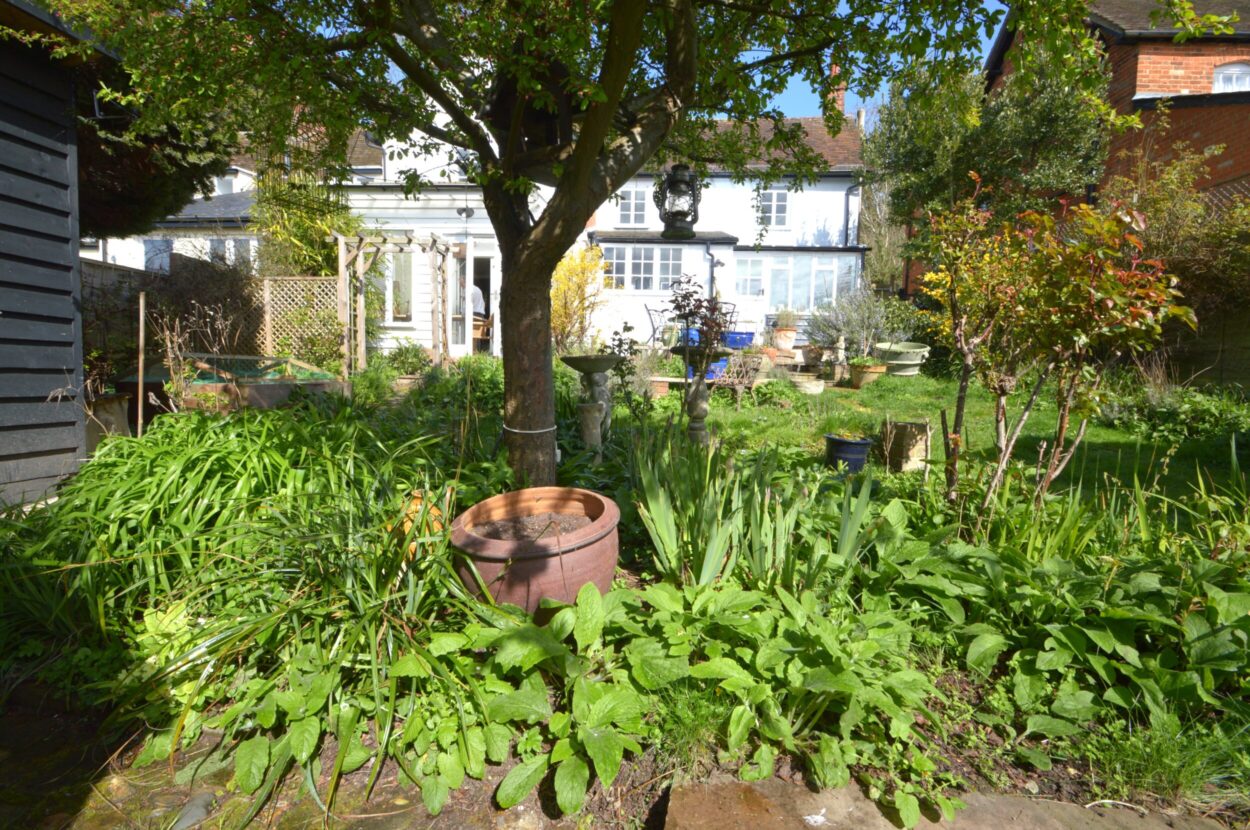 Castle Hedingham, Halstead, Essex