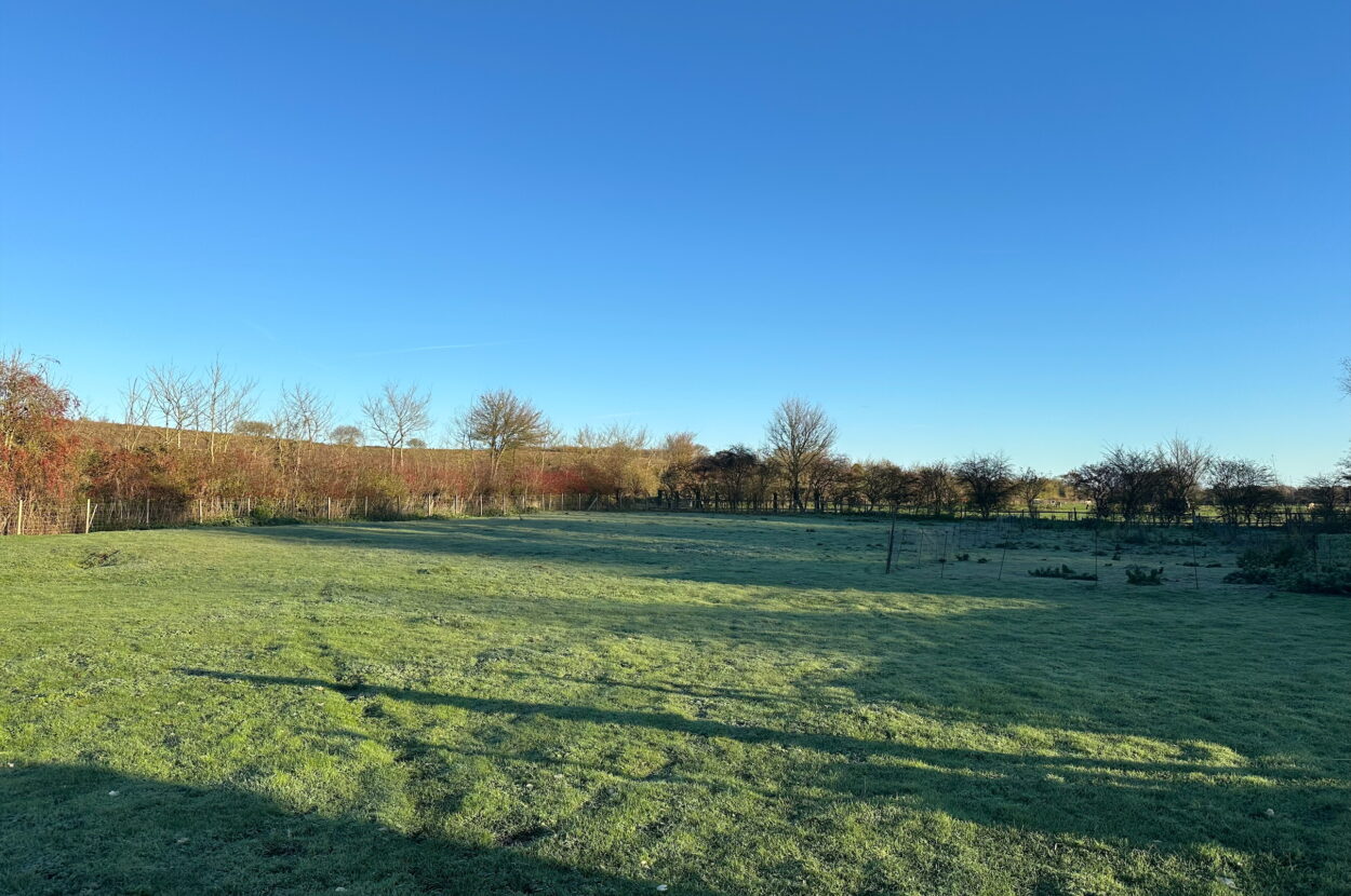 Brockdish, Diss
