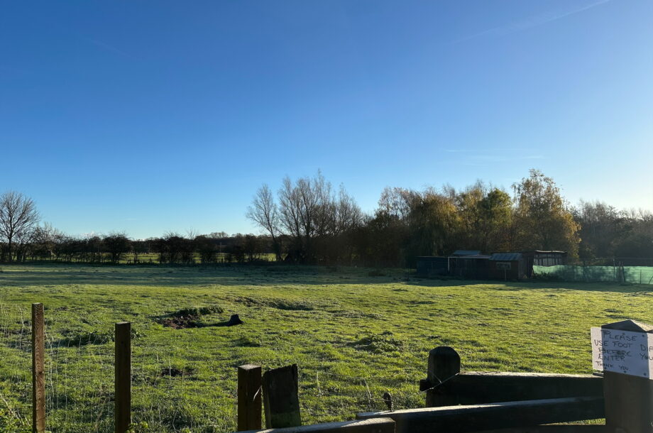 Brockdish, Diss
