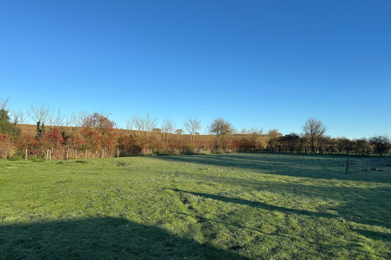Brockdish, Diss