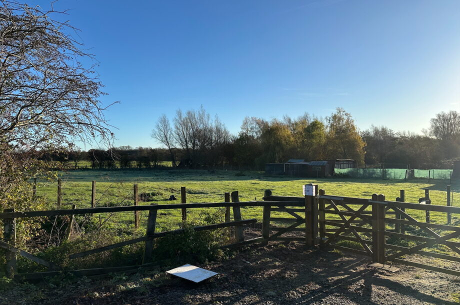 Brockdish, Diss