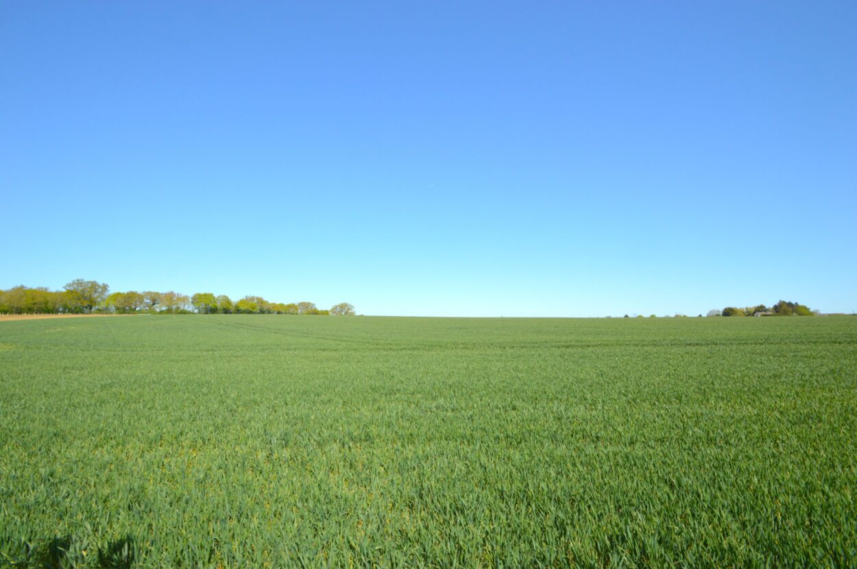 Great Yeldham, Halstead, Essex
