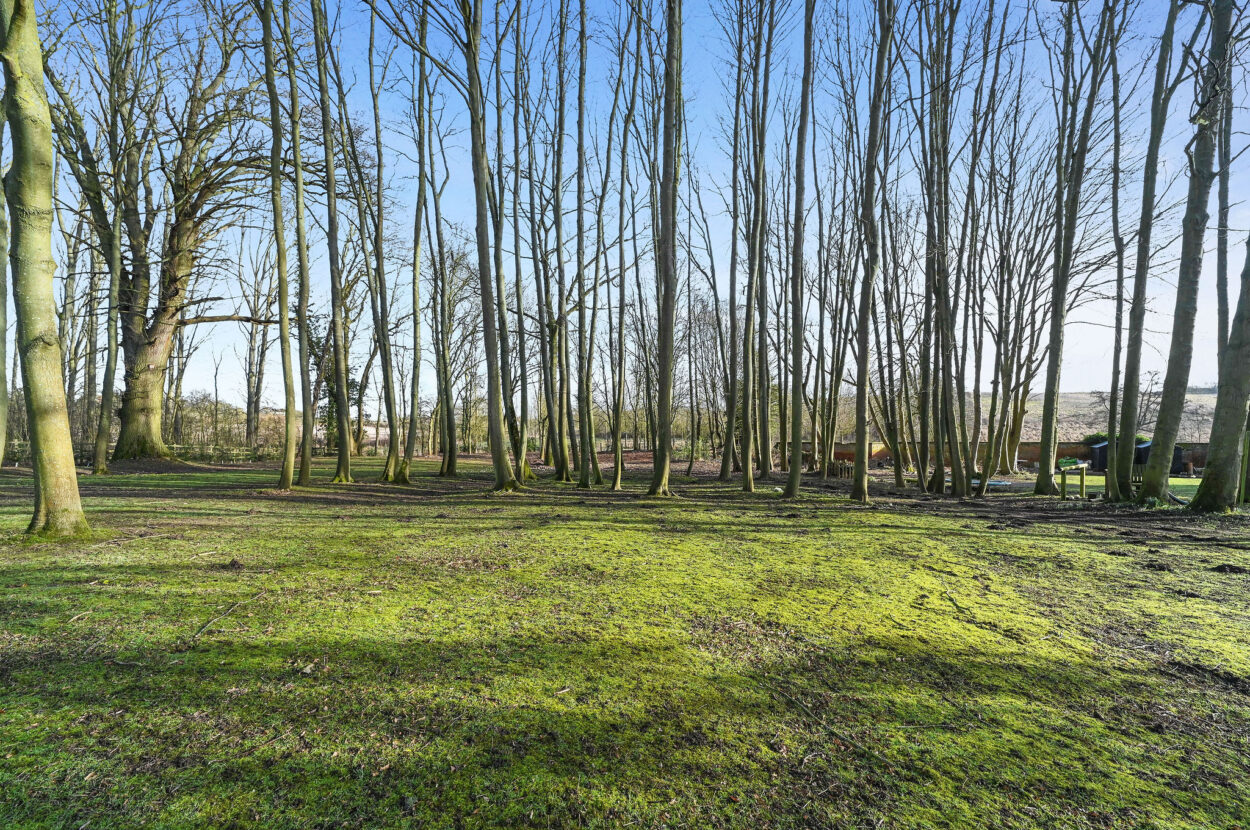 Great Maplestead, Halstead, Essex