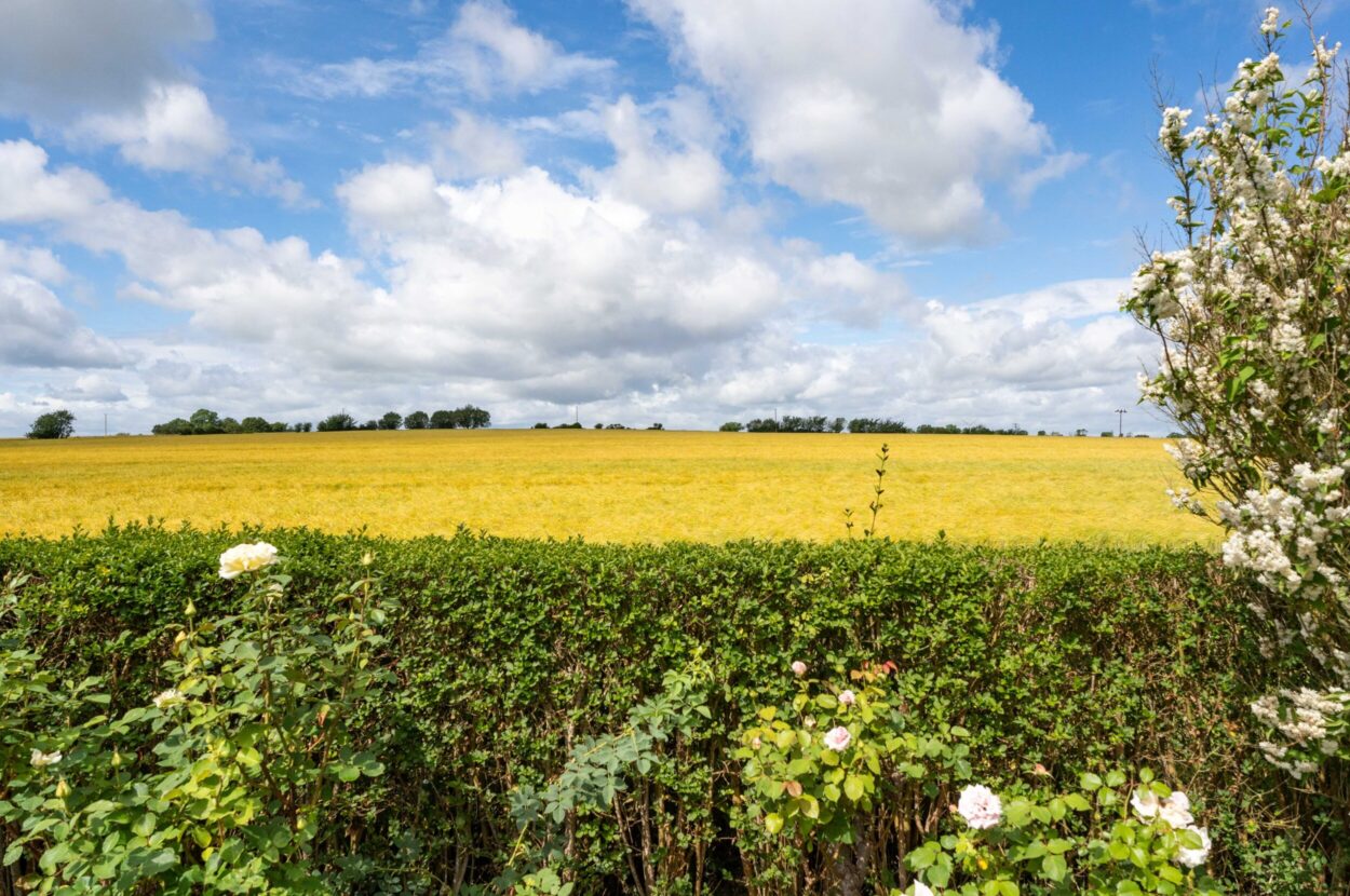 Clare, Sudbury, Suffolk
