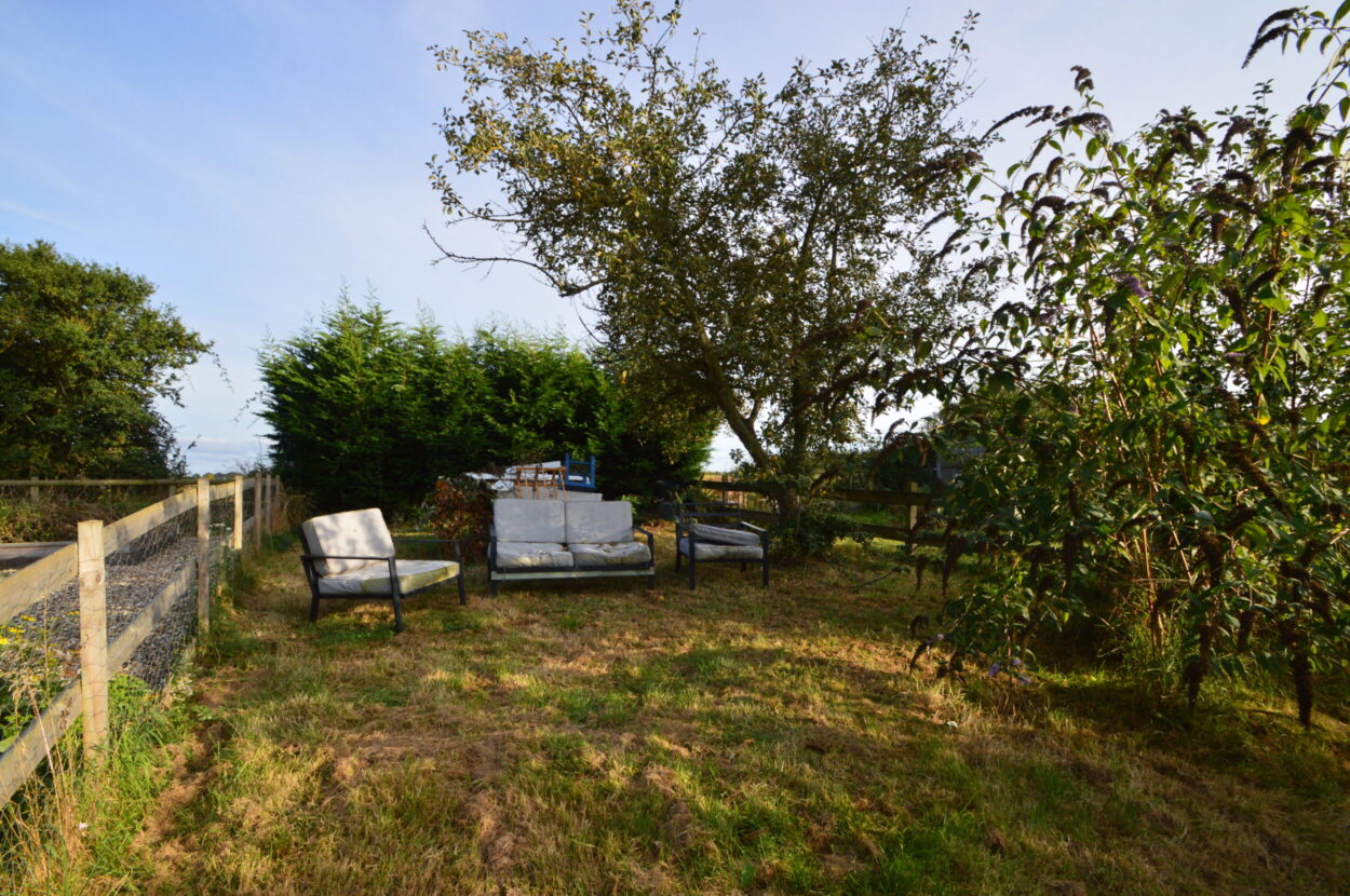 New Park, Castle Hedingham