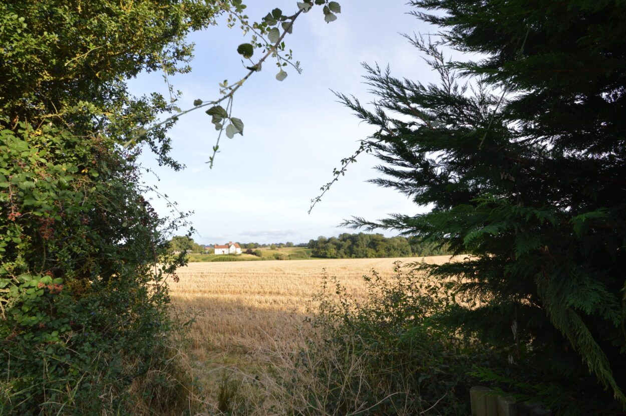 New Park, Castle Hedingham