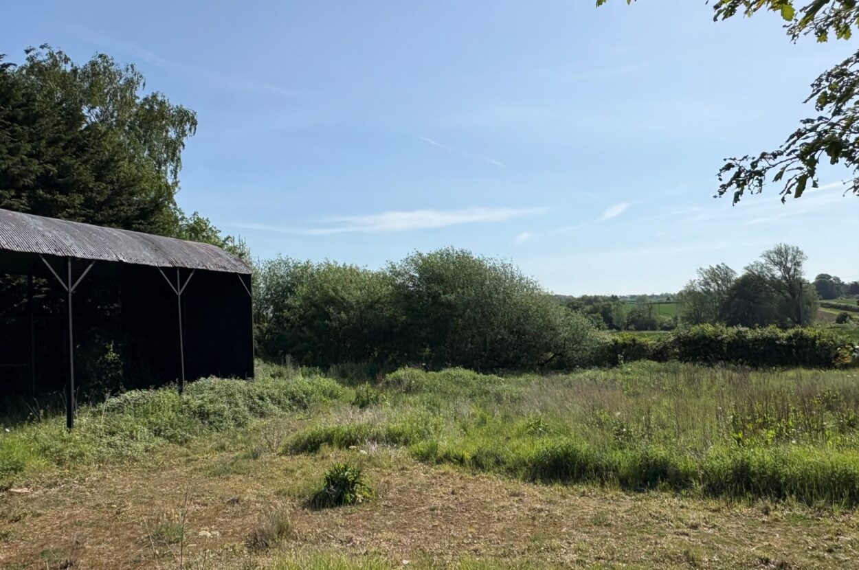 Great Bradley, Newmarket, Cambridgeshire