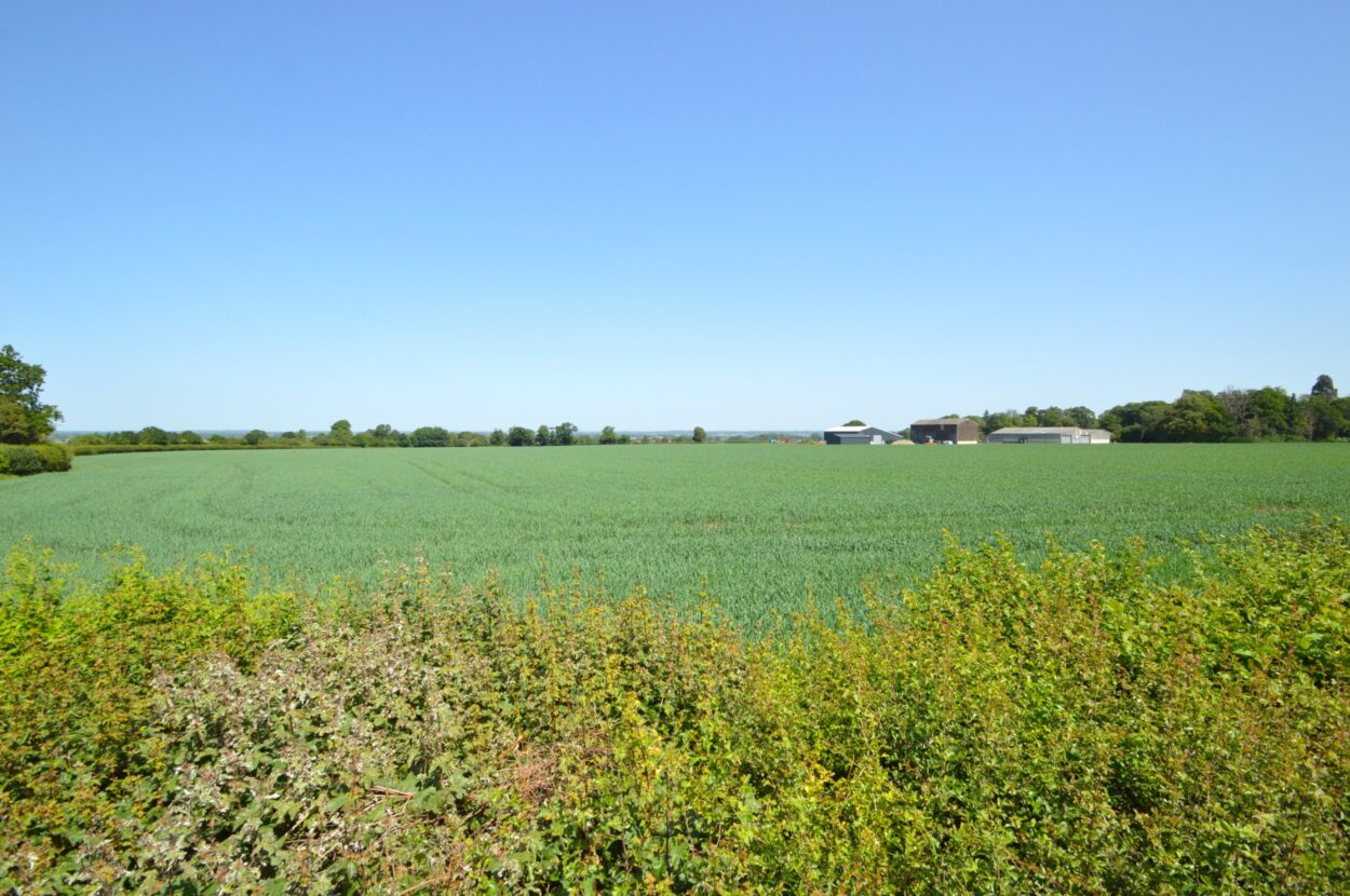Bulmer, Sudbury, Essex