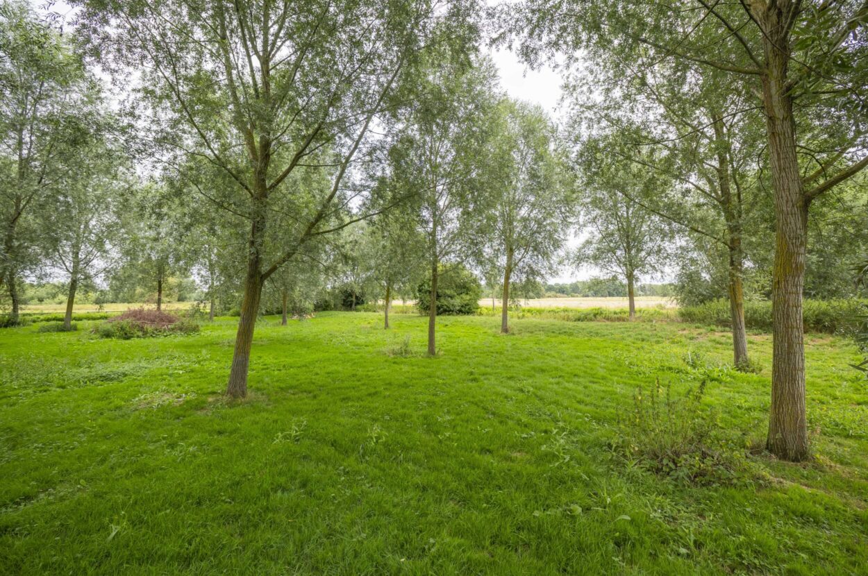 Great Henny, Sudbury, Suffolk