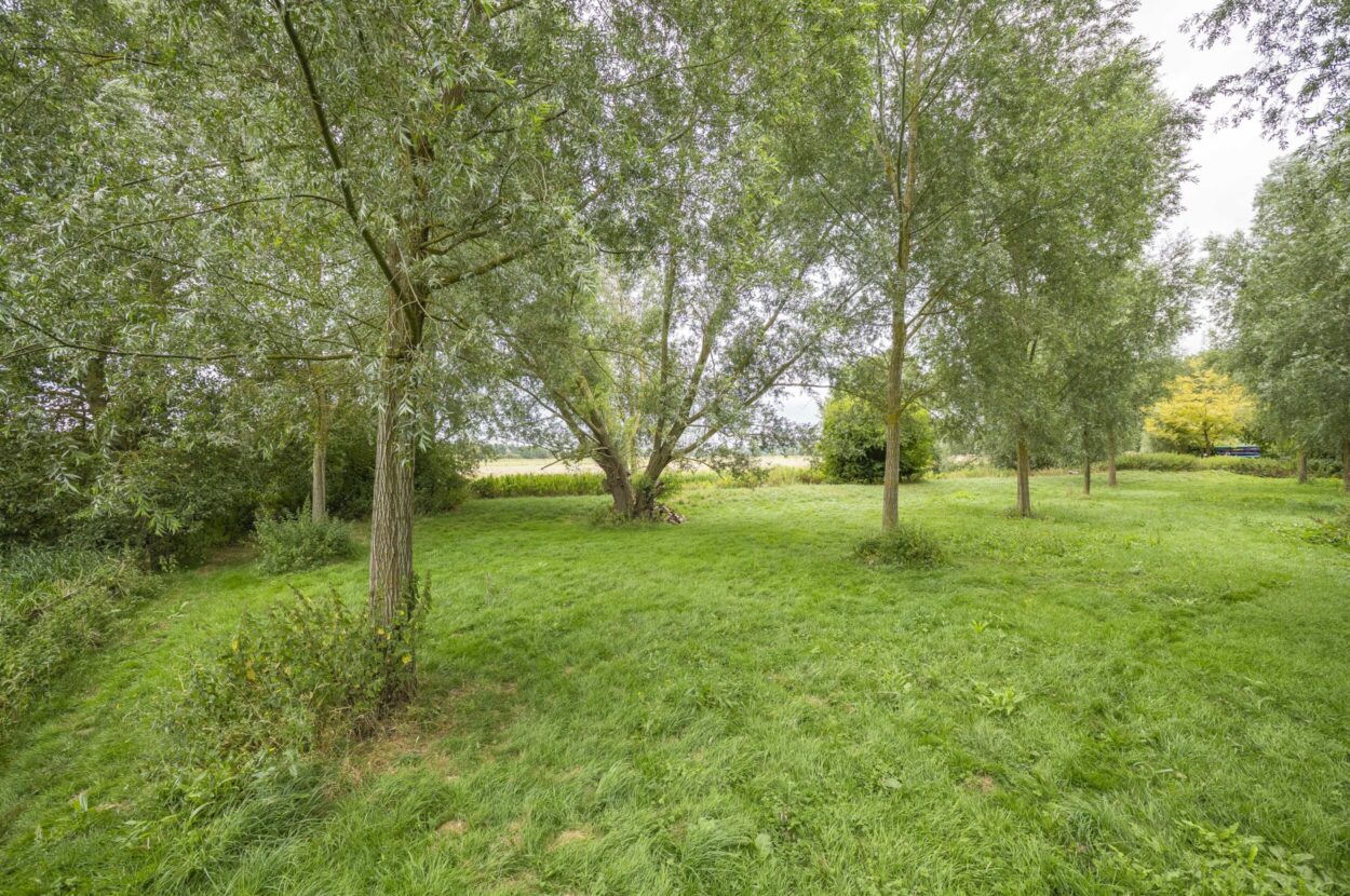 Great Henny, Sudbury, Suffolk