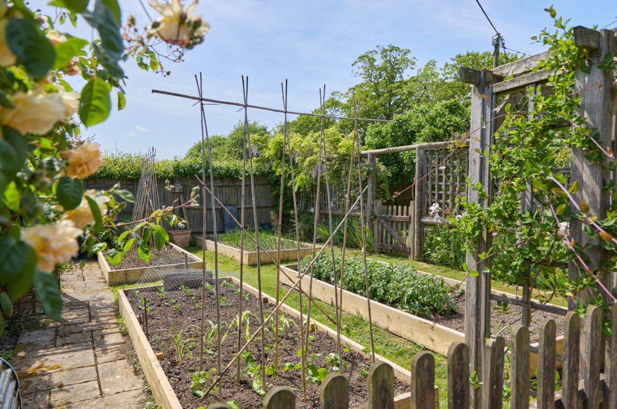 Brinkley, Newmarket, Cambridgeshire