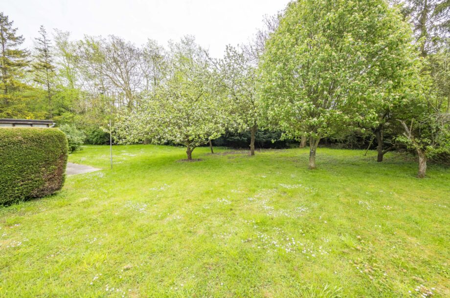 Windsor Green, Bury St Edmunds, Suffolk